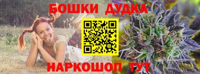 мдпв Боровичи