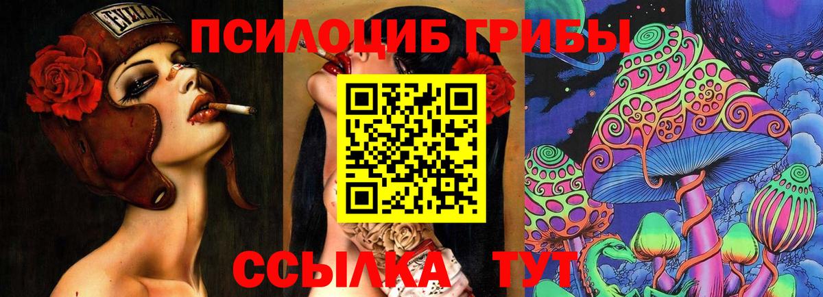 Аша  где найти   Галлюциногенные грибы прущие грибы  Вход с VPN  Галлюциногенные грибы MAGIC MUSHROOMS 