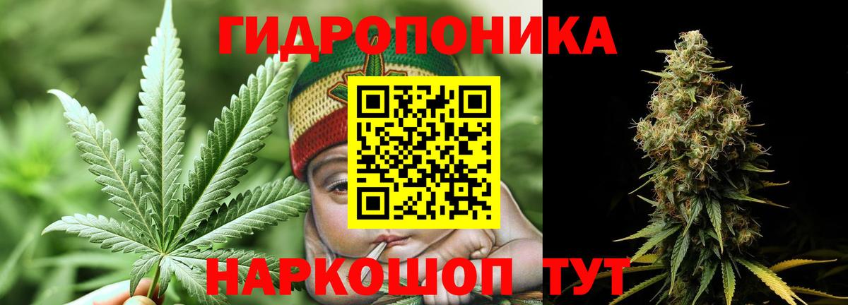 Шишки марихуана Amnesia Аша
